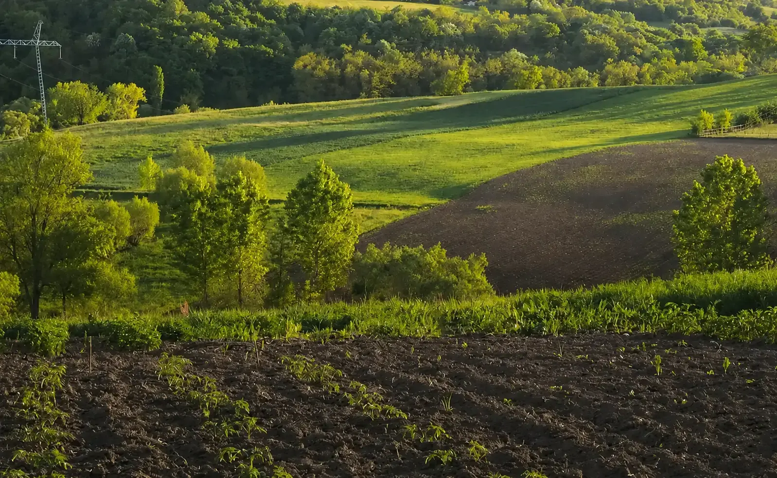HHY GROUP sustainable farming fields and primary agricultural infrastructure