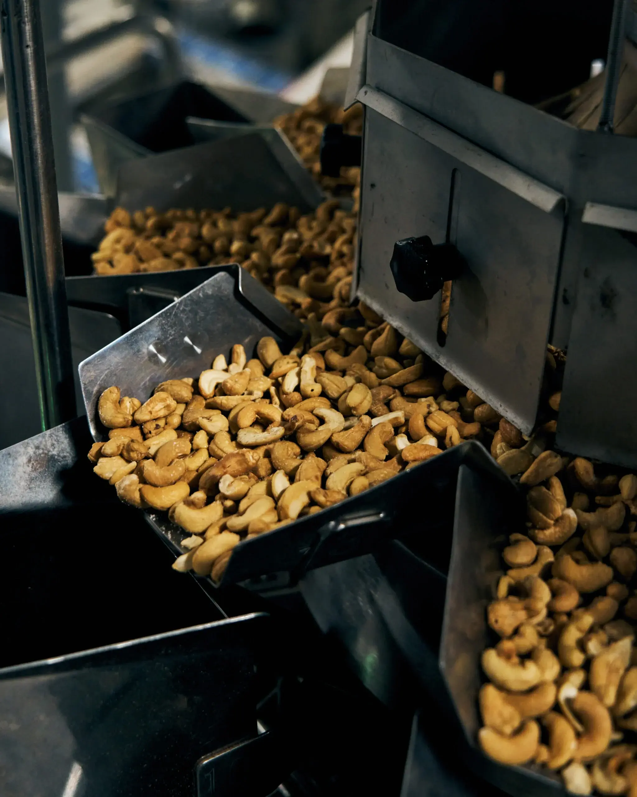 Dedem Kuruyemis calibrated nuts sorting and quality assessment