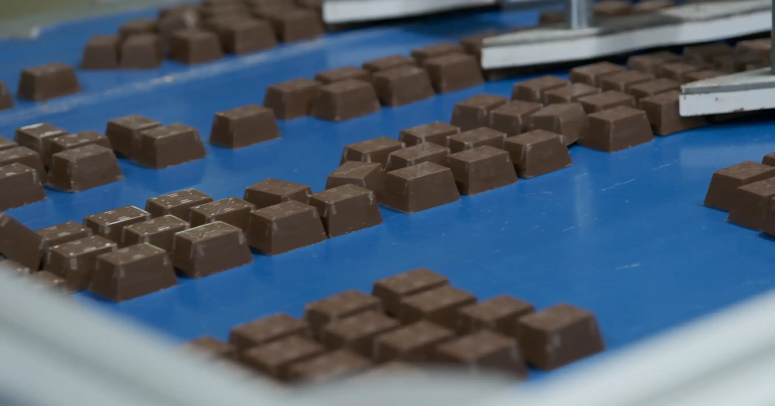 Ender Chocolate confectionery manufacturing plant production lines overview