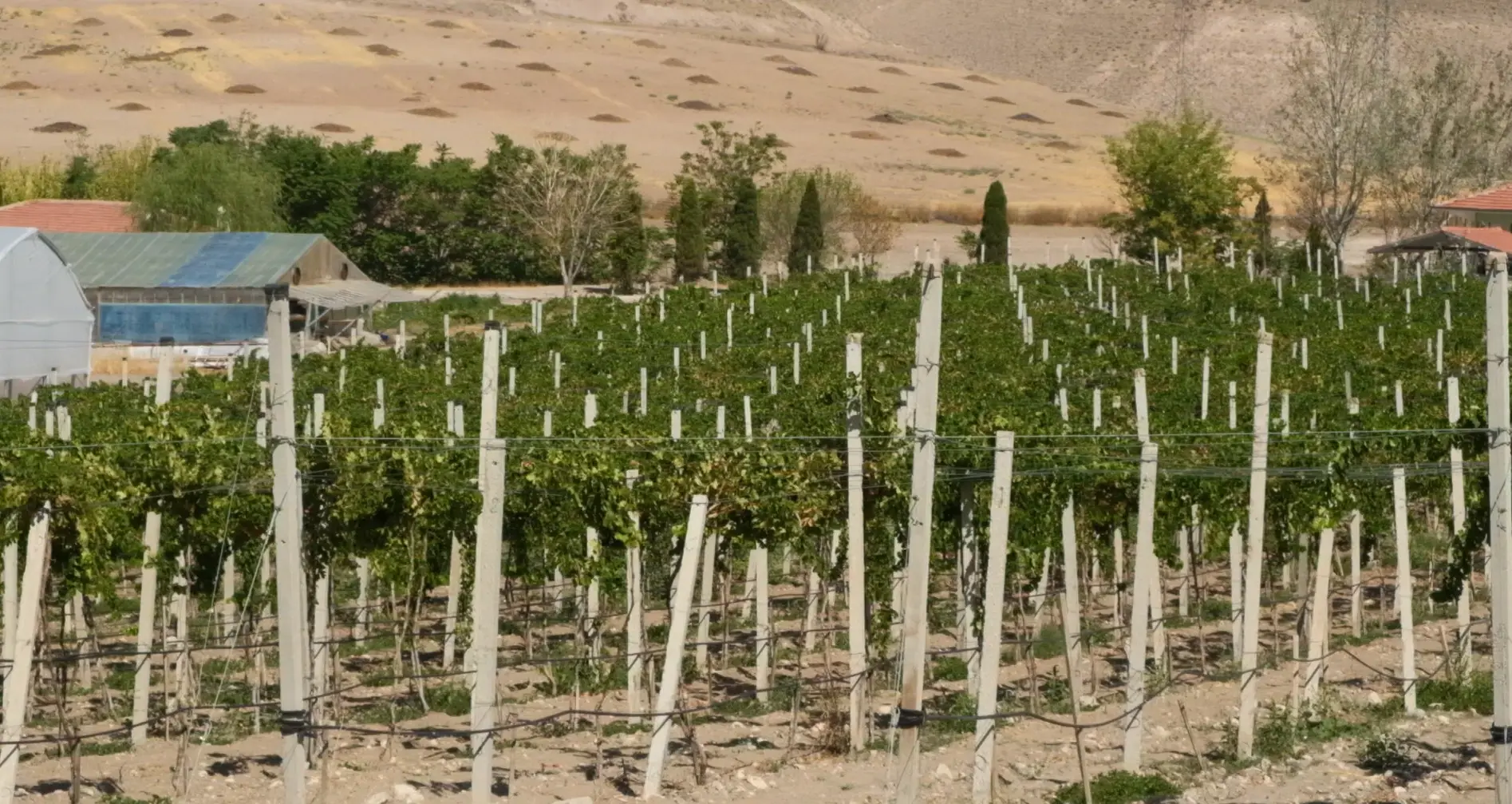 HHY Agro advanced agricultural equipment and soil processing