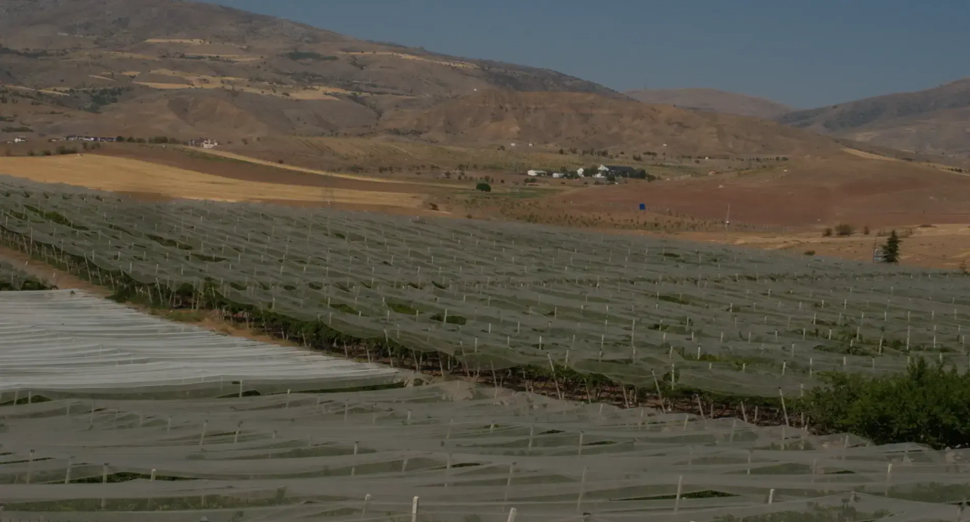 HHY GROUP large-scale sustainable agricultural lands and harvesting operations